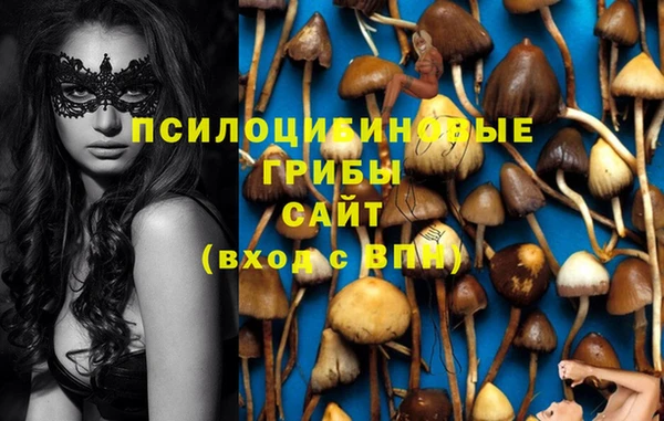 прущий лед Алзамай