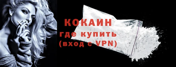 прущий лед Алзамай