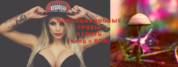 прущий лед Алзамай