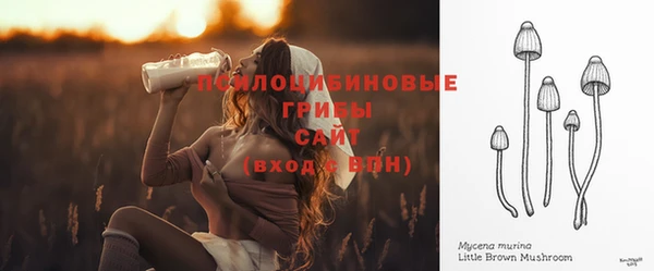 mdpv Алексин
