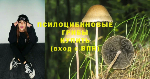 СК Абдулино